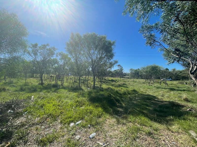 0 Bedroom Property for Sale in Greenbushes Eastern Cape